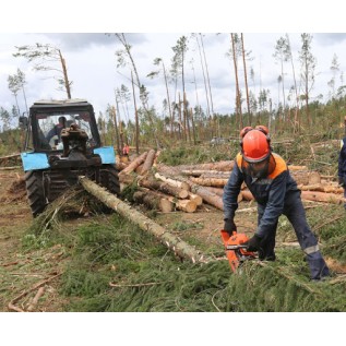 Обучение по профессии "Тракторист на подготовке лесосек, трелевке и вывозке леса"