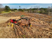 Контролер лесозаготовительного производства и лесосплава